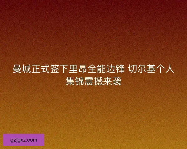 曼城正式签下里昂全能边锋 切尔基个人集锦震撼来袭